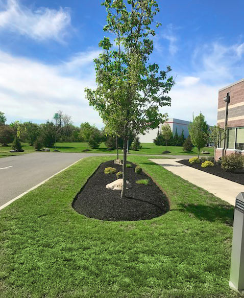 Visions Greenworks - South Jersey Commercial Property Maintenance