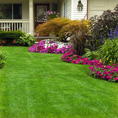 South Jersey Landscaping