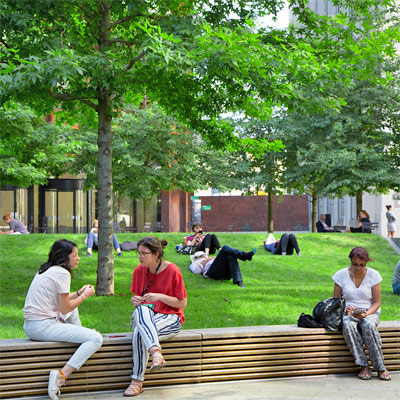 South Jersey Lawn Care